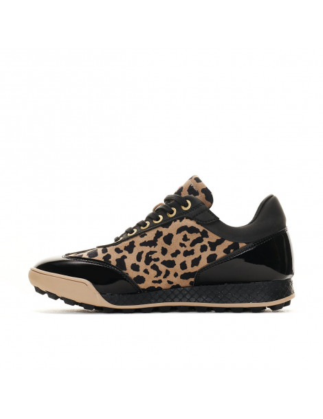 king cheetah4