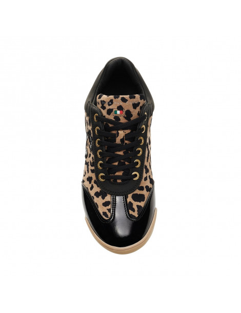 king cheetah5