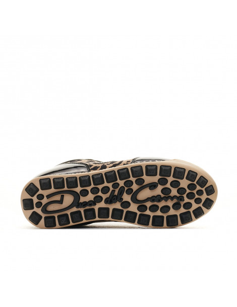 king cheetah2